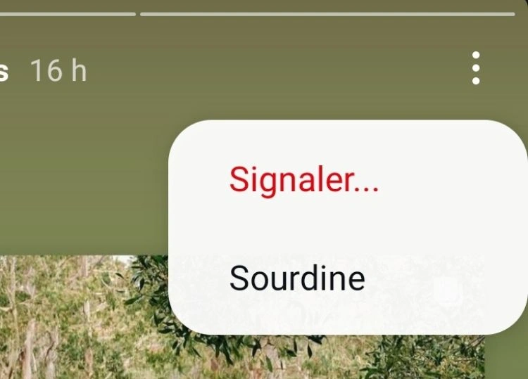 Sélectionner les trois points en haut à droite de la story puis appuyer sur signaler