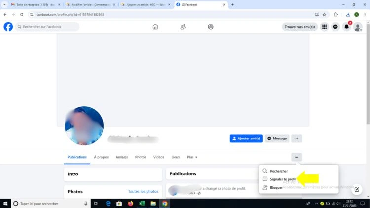 Cliquer sur les trois points puis signaler le profil
