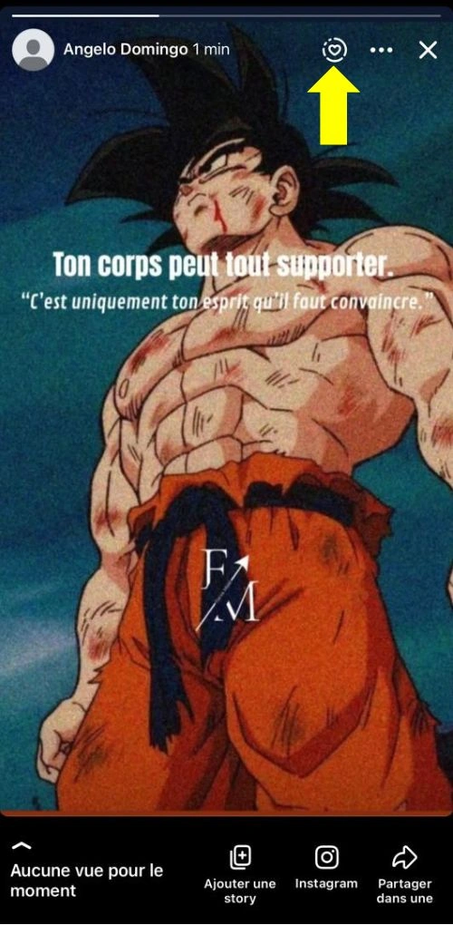 Cliquer sur le rond en forme de cœur en haut à droite de la story