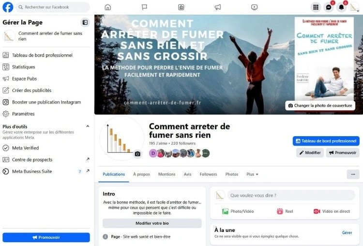 Page Facebook de meta business suite