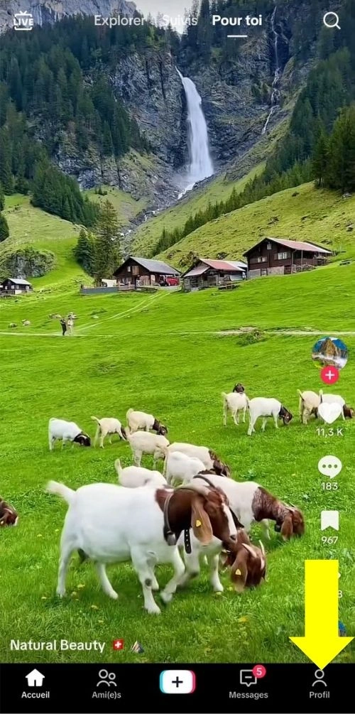 Cliquer sur le profil