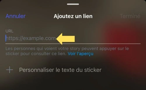 Placer le lien et partager la story