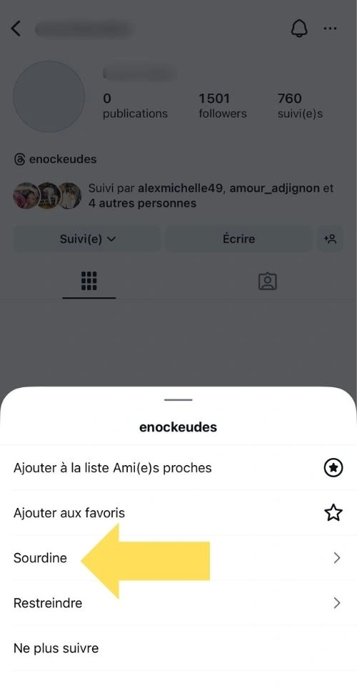 Cliquer sur Sourdine