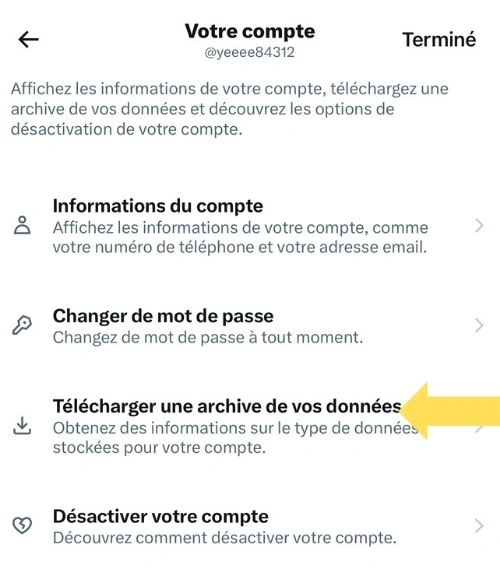 Cliquer sur télécharger une archive de vos données