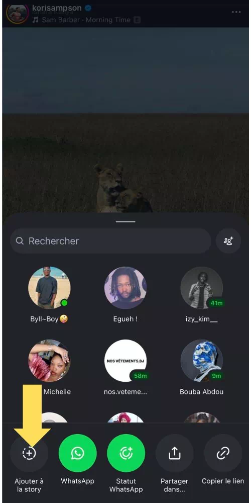 Cliquer sur Ajouter à la story