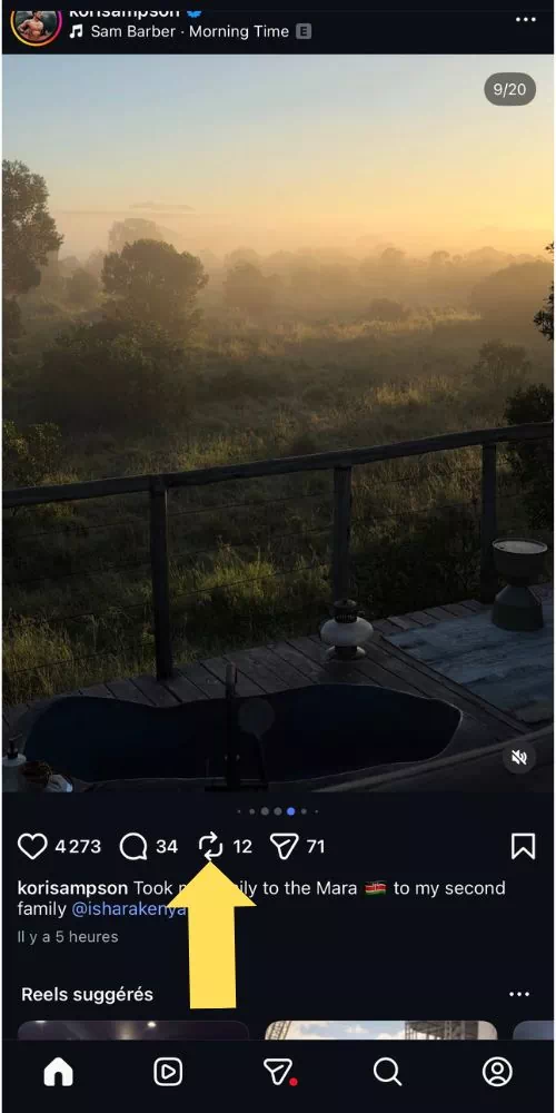 Cliquer sur le bouton repost