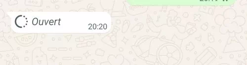 Photo éphémère ouvert